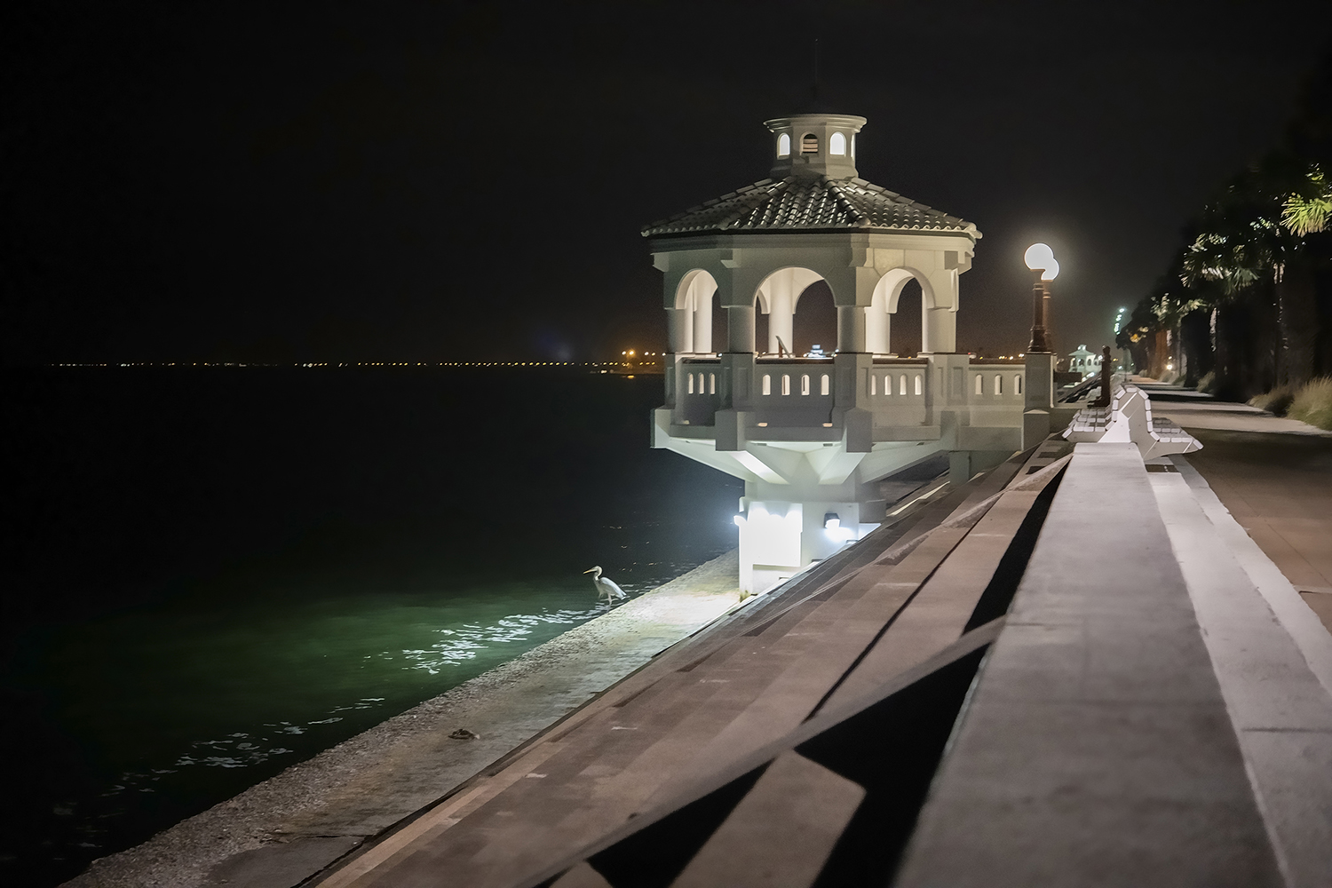Illuminated waterfront gazebo overlooking Corpus Christi Bay at night with a heron standing along the shoreline.